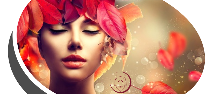 On the Prowl: Staring at Colors under the Harvest&nbsp;Moon