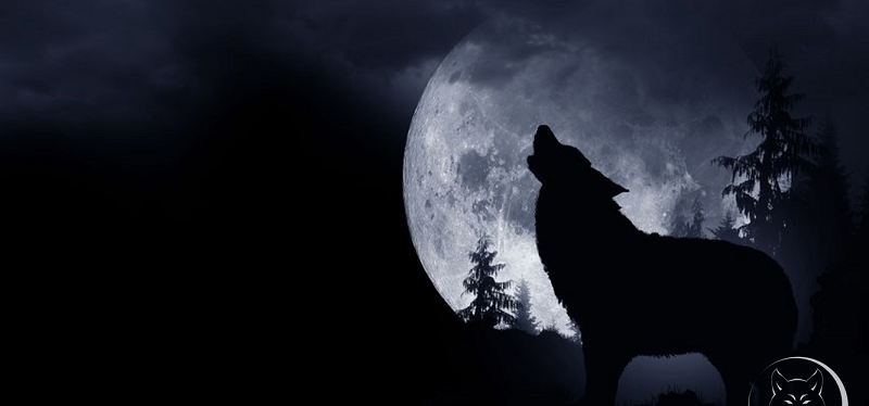 Howling under the Wolf&nbsp;Moon