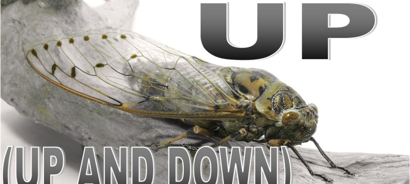 Hippy Saves the World Episode 7:&nbsp;Up